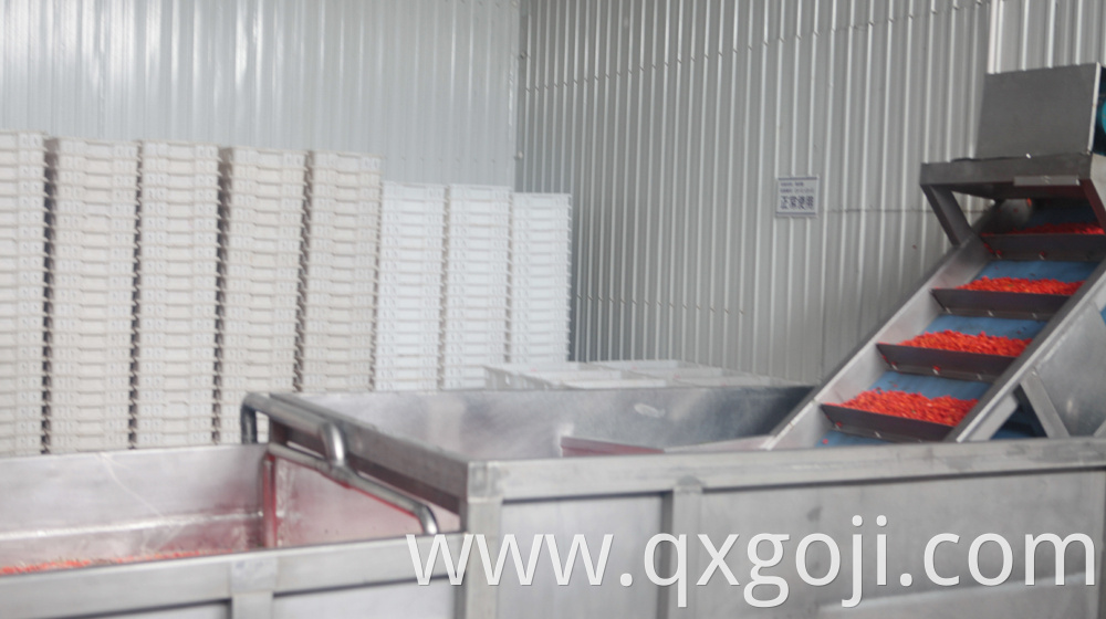 Professional Organic Goji Crude Juice